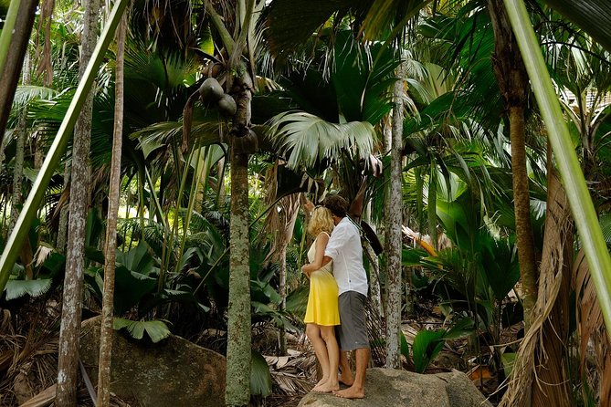 Cat Cocos: Mahe to Praslin Island Fast Ferry - Baggage Rules: The 7 kg Cabin Limit Changes How You Pack
