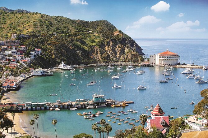 Catalina Express: Avalon to San Pedro One-Way Ferry - The return trip: don’t get caught by one-way timing