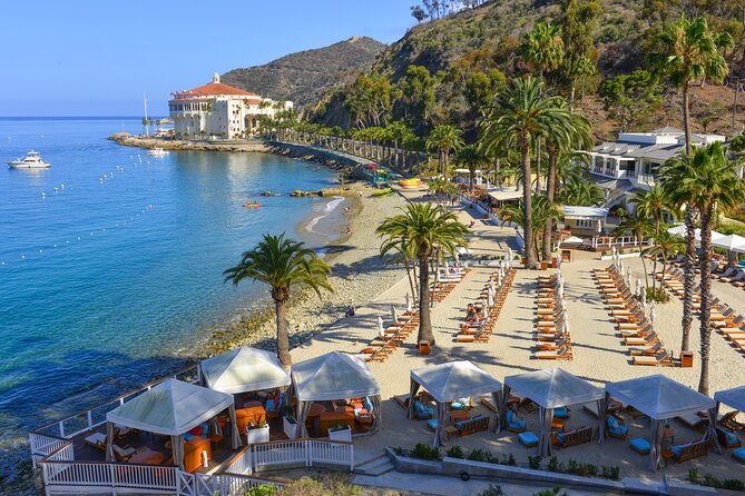 Catalina Express: Avalon to San Pedro One-Way Ferry - Schedule changes and weather: what can affect your crossing
