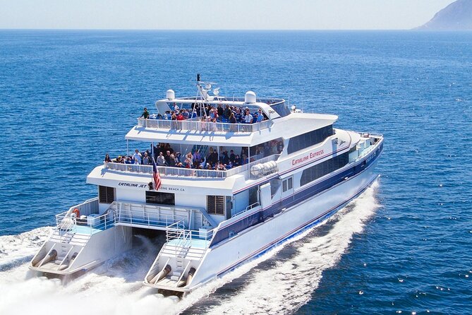 Catalina Express: San Pedro to Avalon One-Way Ferry - Key highlights worth knowing
