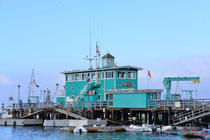 Catalina Express: San Pedro to Avalon One-Way Ferry - The timing truth: about an hour can turn into longer
