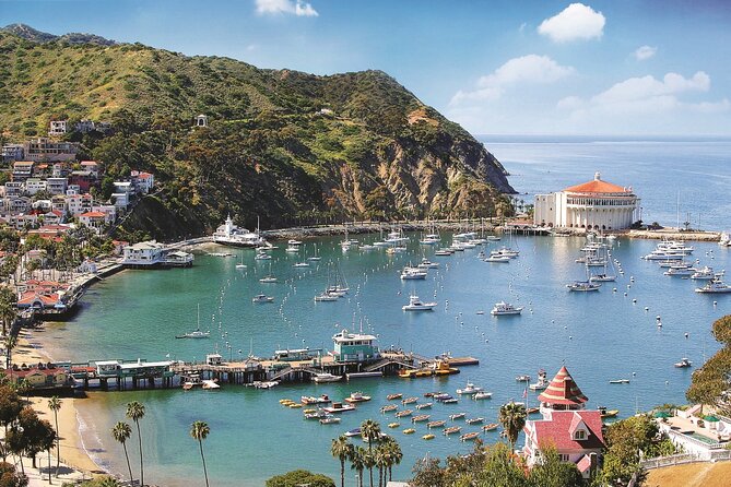 Catalina Express: San Pedro to Avalon One-Way Ferry - Price and value: $47 one-way for convenience and speed