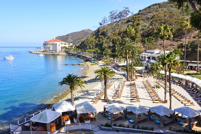 Catalina Express: San Pedro to Avalon One-Way Ferry - Luggage, animals, and the small rules that affect your day