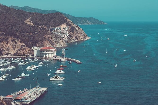 Catalina Island Ferry Avalon to Newport Beach - Where You Start in Avalon (120 Pebbly Beach Rd) and What Happens Next