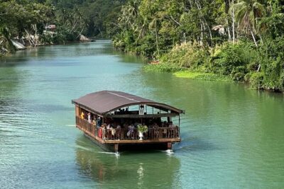 Cebu-Bohol Day Tour + Ferry Tickets - Tagbilaran wildlife: Philippine tarsiers in their Bohol home