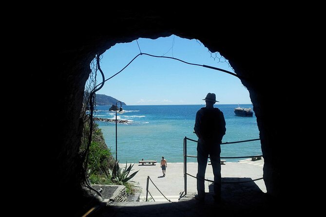 Cinque Terre Private Tour by Minivan and Ferry-Boat from Pisa - Manarola: a short stop with big views