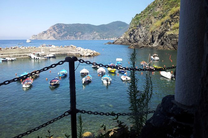 Cinque Terre Private Tour by Minivan and Ferry-Boat Shore excursion from Livorno - Monterosso al Mare: Lunch Options and a Beach Pause