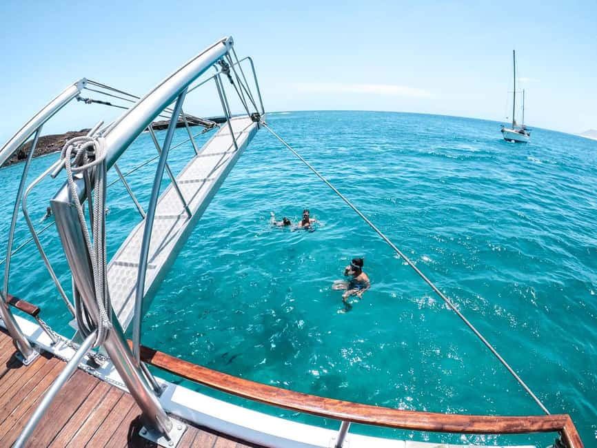 Corralejo: Snorkeling on Lobos Island & Return Ferry Ticket - Snorkeling for about 25 minutes: clear water, real fish, and simple expectations