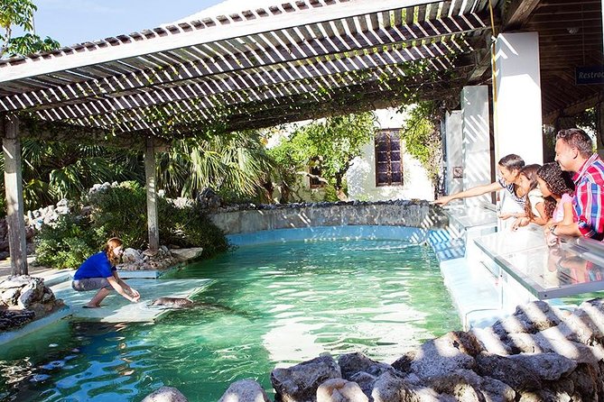 Crystal Caves, Aquarium, City of Hamilton and Ferry - Bermuda Aquarium, Museum & Zoo in 60 minutes plus the day-of $10 ticket
