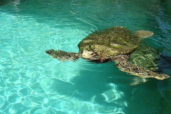 Crystal Caves, Aquarium, City of Hamilton and Ferry - Hamilton time: Front Street shopping and a quick local orientation
