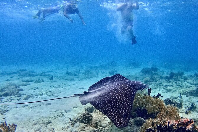 Culebra Swim with Turtles Adventure and Flamenco Beach by Ferry - Transport inside Culebra: transfers are part of the deal