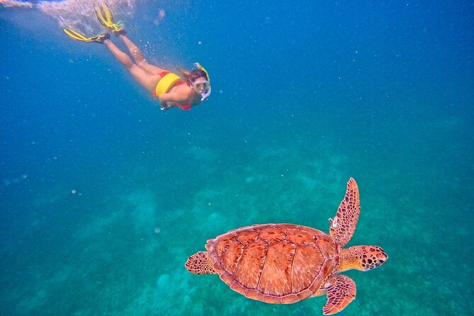 Culebra Swim with Turtles Adventure and Flamenco Beach by Ferry - Who this tour fits best (and who should skip it)
