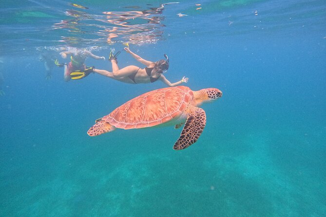 Culebra Swim with Turtles Adventure and Flamenco Beach by Ferry - Tamarindo Beach turtle snorkeling: what you’re really signing up for