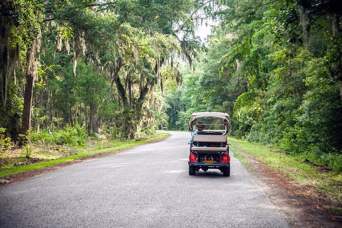 Daufuskie Island Daily Round Trip Ferry Tickets - The 45-minute cruise: dolphins, islands, and what the crew actually does