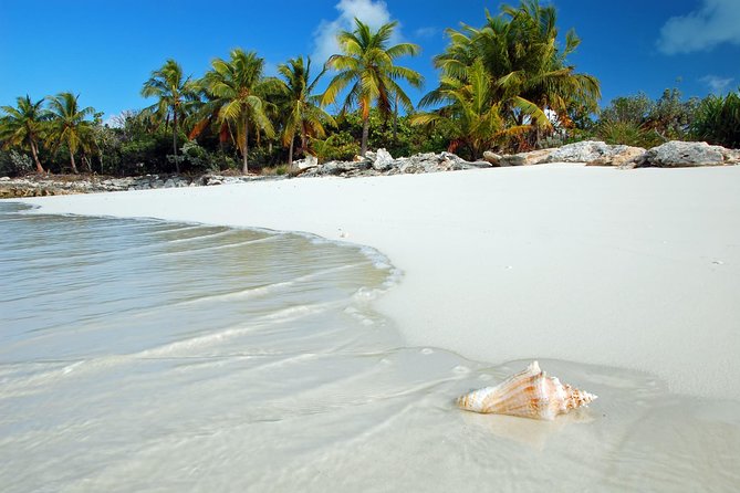 Day Trip to Bimini, Bahamas - Ferry Tickets - Boarding and Arrival in Bimini: You’re Free, But Not Fully Unplanned