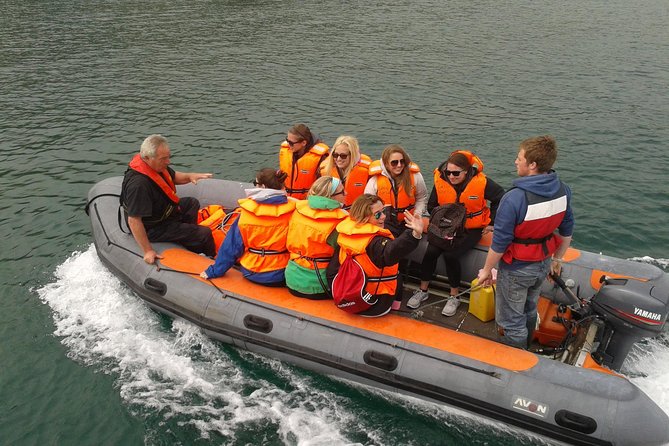 Dingle to Blasket Island Ferry - Fungie and the first stretch of water: the fun part starts early