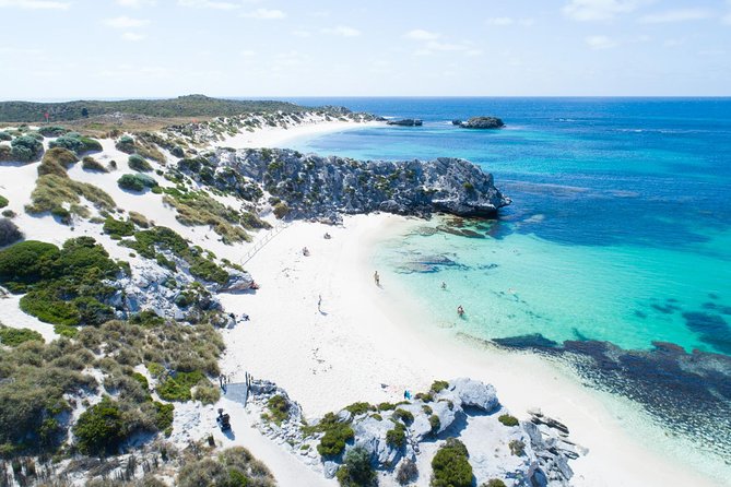 Discover Rottnest with Ferry & Bus Tour - Key things that make this tour work