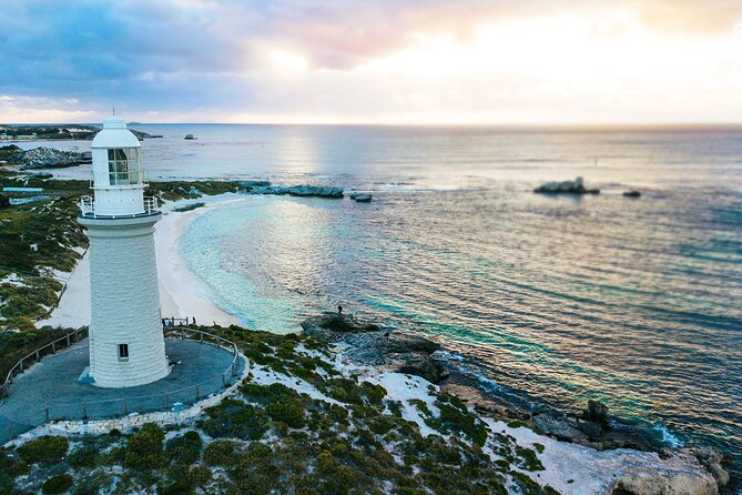 Discover Rottnest with Ferry & Bus Tour - Rottnest in a single day: ferry from Perth or Fremantle