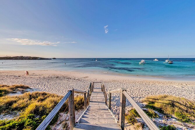 Discover Rottnest with Ferry & Bus Tour - Thompson Bay free time: bikes, snorkeling, museums, and simple choices