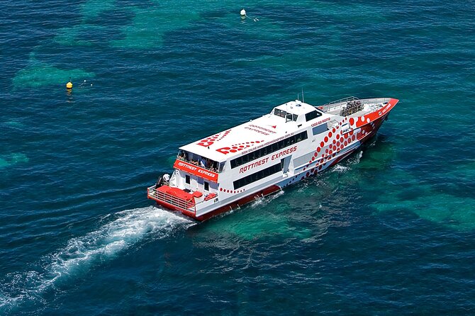 Discover Rottnest with Ferry & Bus Tour - Lunch option: what it means for value and pacing