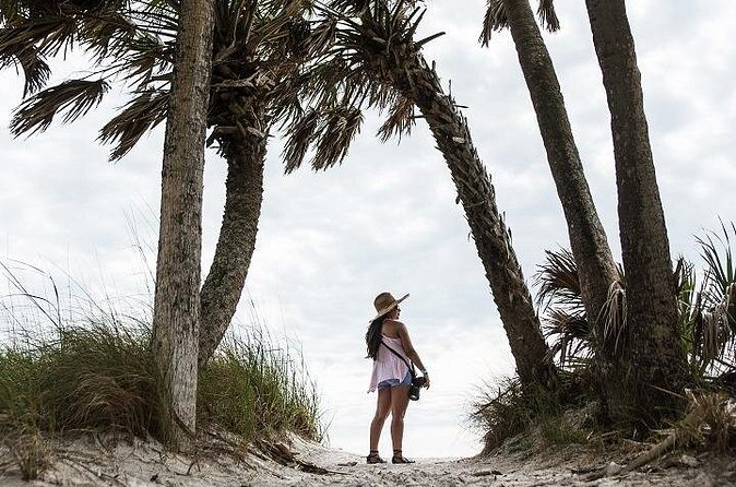 Egmont Key Ferry from Ft. DeSoto Park - Shelling, Shark Teeth, and What to Do With Your Find