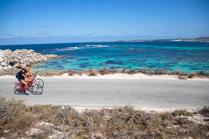 Experience Rottnest with Ferry & Bike Hire - Arrival at Rottnest: visitor info, orientation, then the bike takes over