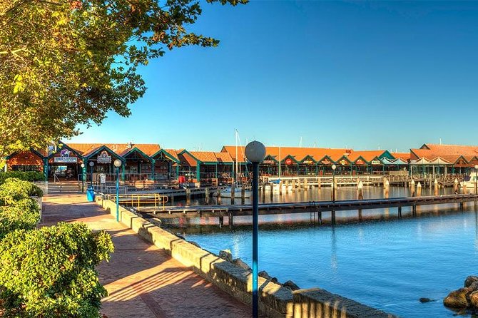 Experience Rottnest with Ferry & Bike Hire - The Basin swim: the snorkel upgrade is where the water plan pays off