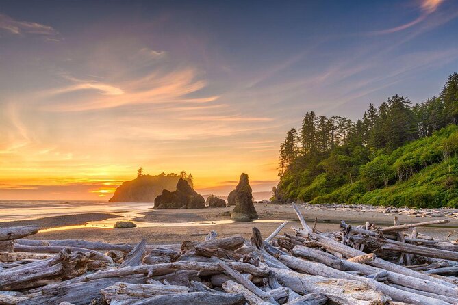 Explore Olympic National Park from Seattle through Van /Ferry - Key highlights worth planning for