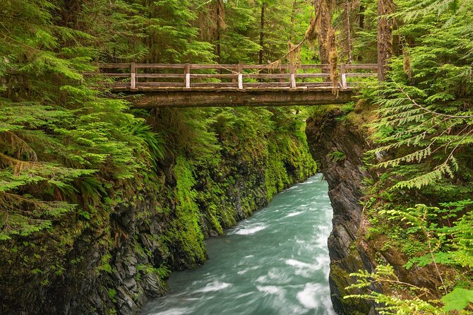 Explore Olympic National Park from Seattle through Van /Ferry - Stop 2: Hurricane Ridge for mountain views and cold-weather reality