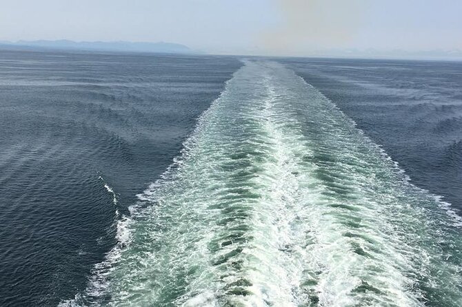 Explore Olympic National Park from Seattle through Van /Ferry - Price and value: where the $335 per person makes sense