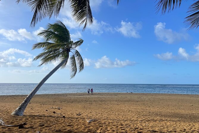 Fajardo Ceiba Ferry Marina Taxi to San Juan Taxi Transportation - What to Do Before You Go (Small Moves That Prevent Big Stress)