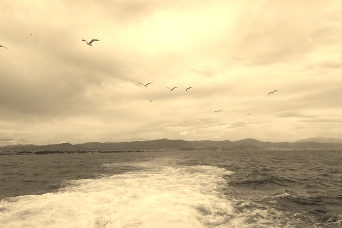 Ferry Benalmádena <> Fuengirola - Timing tips: how to make a short day trip feel long