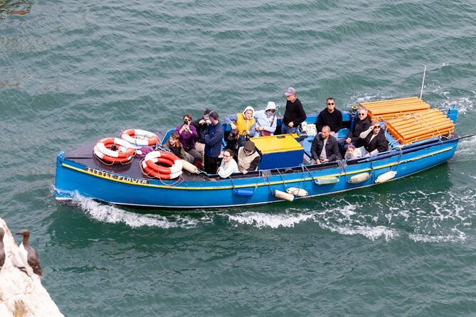 Ferry to Ireland's Eye in Howth - Views of Howth Head Cliffs: The Part You’ll Enjoy Even if Wildlife Is Slow