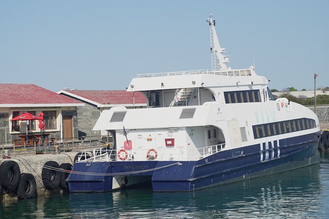 Ferry Tour to Robben Island Museum with One Way Hotel Transfer - From the Nelson Mandela Gateway to the ferry ride over