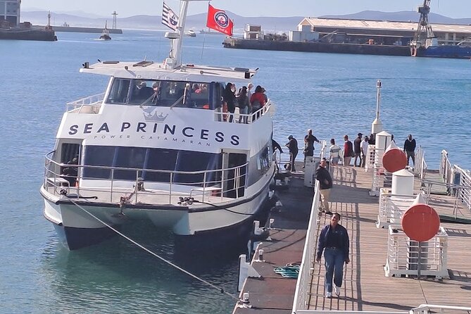 Ferry Tour to Robben Island Museum with One Way Hotel Transfer - Walking time on the island: simple, but don’t underestimate it