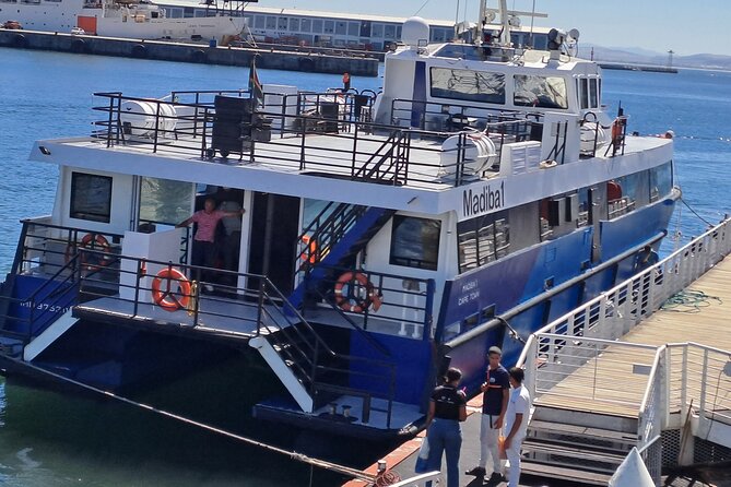 Ferry Tour to Robben Island Museum with One Way Hotel Transfer - Who should book this Robben Island ferry tour