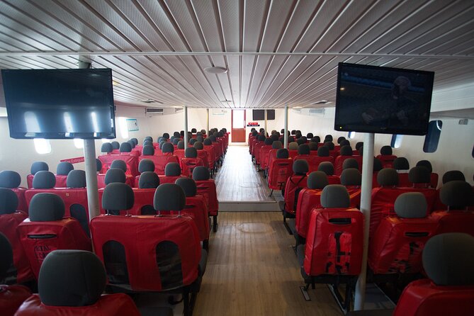 Ferry Transfer from Krabi Klong Jilad Pier to Phi Phi Tonsai - Booking Timing and What It Means for Your Day