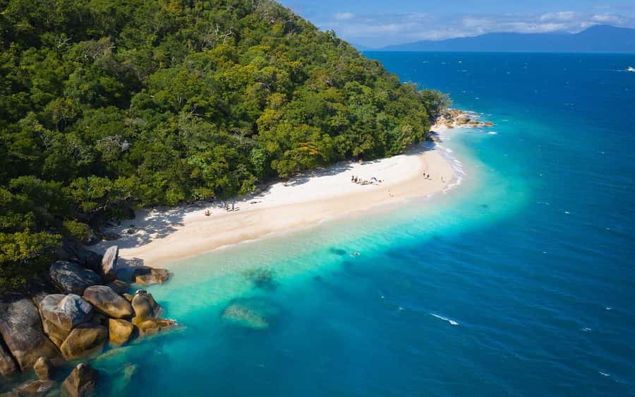 Fitzroy Island: Full-Day Ferry & Snorkel Safari Guided Tour - Snorkel hire until 4:00 PM: how to use your water time well