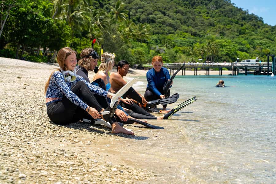 Fitzroy Island: Full-Day Ferry & Snorkel Safari Guided Tour - The honest pros and cons from real-world moments
