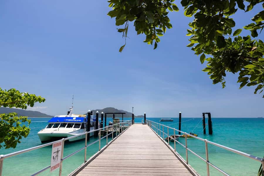Fitzroy Island: Full-Day Ferry & Snorkel Safari Guided Tour - 9:55 meet-up and the snorkel safari with Elisa