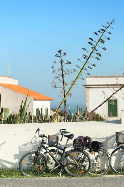 Formentera: discover our fast ferry + bike package - Key Points You’ll Feel From Day One