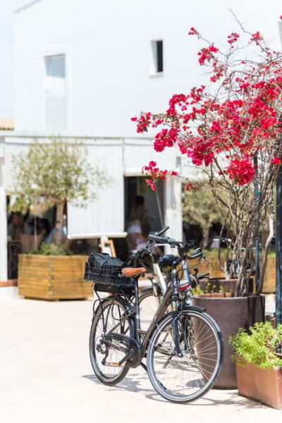 Formentera: discover our fast ferry + bike package - Price and Value: Is $68 a Fair Deal?