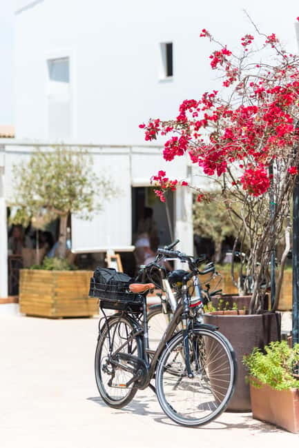 Formentera: discover our fast ferry + bike package - Price and Value: Is $68 a Fair Deal?