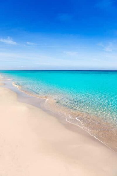 Formentera: discover our fast ferry + electric bike package. - Picking up your electric bike at La Savina: what to check fast