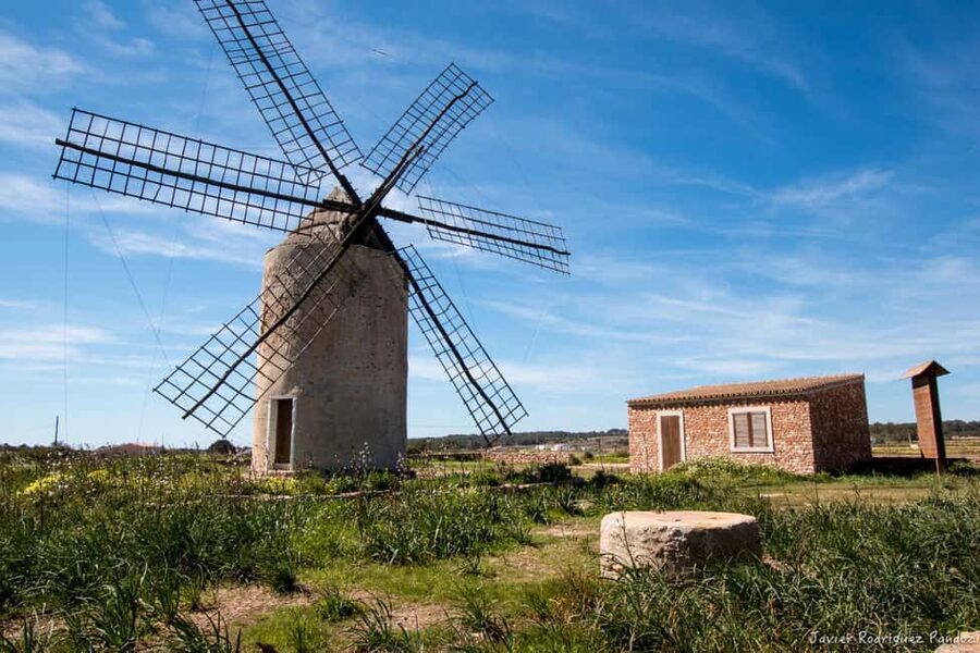 Formentera: discover our fast ferry + electric bike package. - Price and value: what $80 really buys you