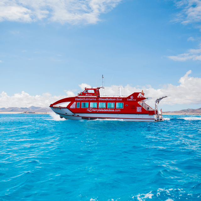 From Caleta de Fuste: Return Bus and Ferry to Lobos Island - The permit step: lobospass authorization you shouldn’t wait on