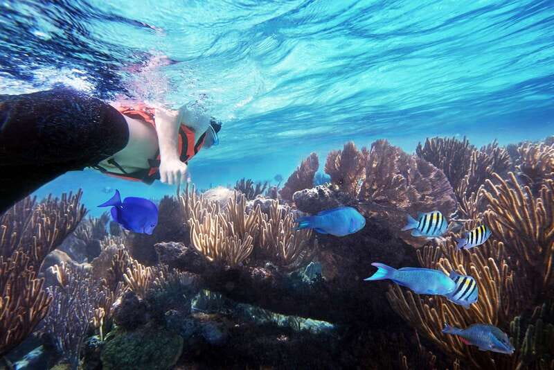 From Cancun: Garrafon Reef Park Admission with Ferry Tickets - Snorkeling the Reef: What You’ll See and How to Make It Fun