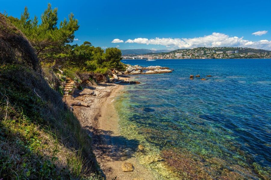 From Cannes: Round-Trip Ferry to Ste. Marguerite Island - Swimming Plans and the Underwater Eco Museum