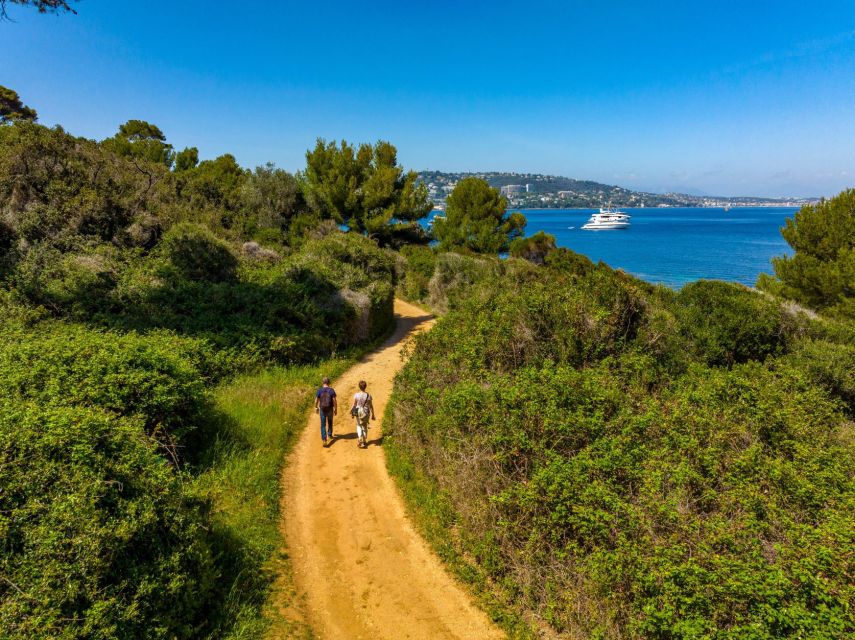 From Cannes: Round-Trip Ferry to Ste. Marguerite Island - Timing Your Day: Choosing the Right Return Boat