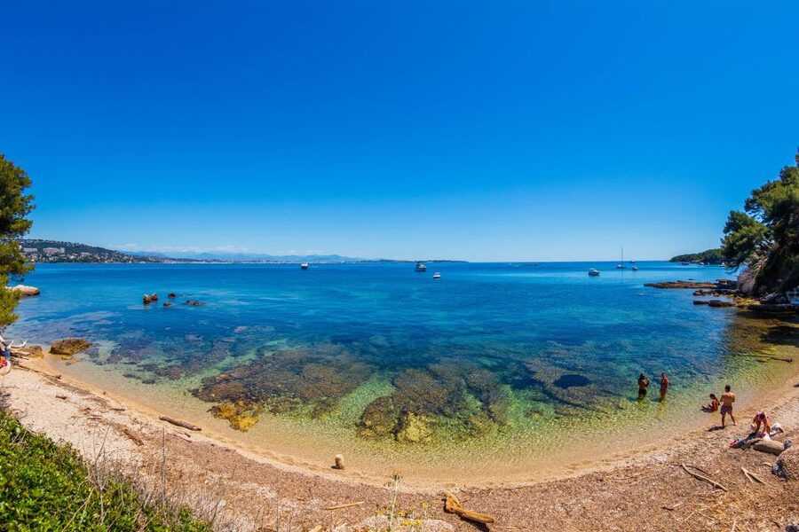 From Cannes: Round-Trip Ferry to Ste. Marguerite Island - Should You Book the Cannes to Sainte-Marguerite Ferry?